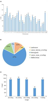 Analyzing the interactions of mRNAs, miRNAs and lncRNAs to predict ceRNA networks in bovine cystic follicular granulosa cells